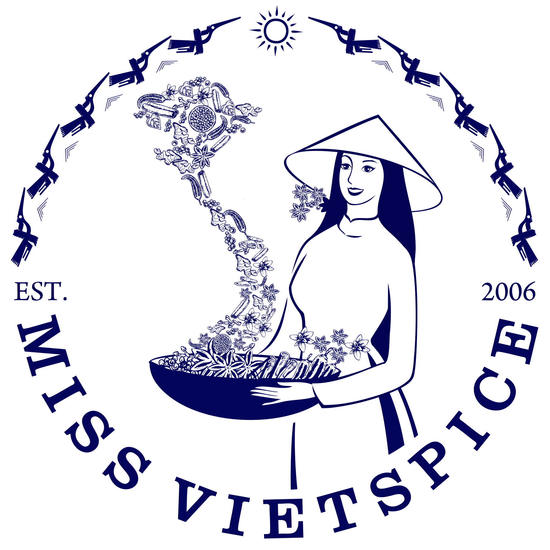 VNSpice