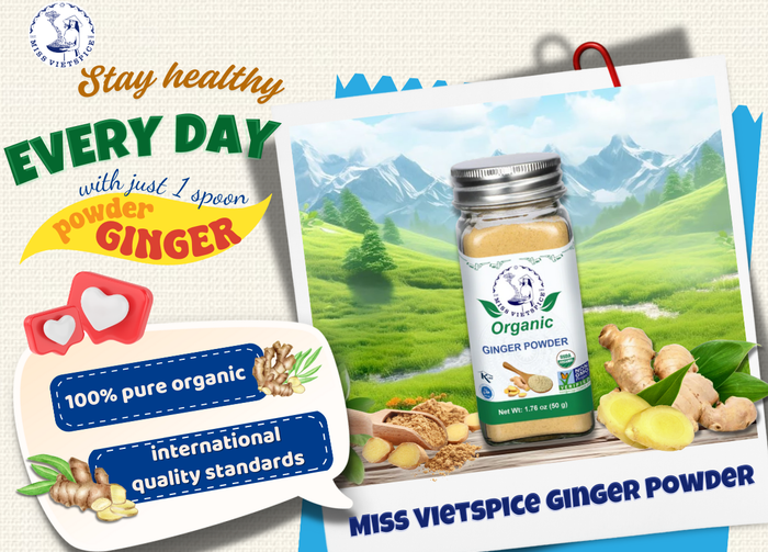 1 Spoon of Ginger Powder a Day – A Small Habit, Big Health Benefits